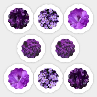 Mixed Purple Flowers Photo Sticker Pack Sticker